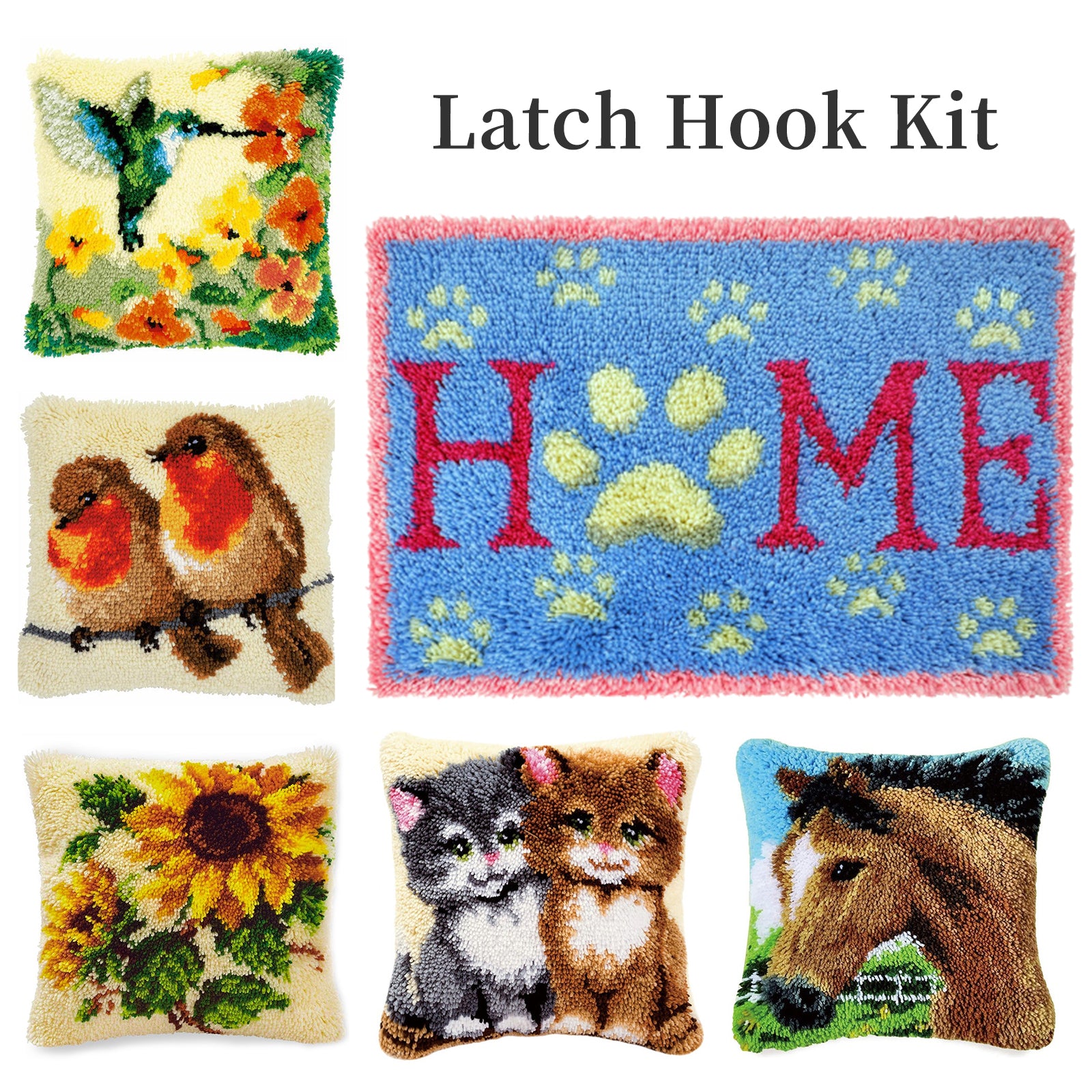 Latch Hook Craft Kit